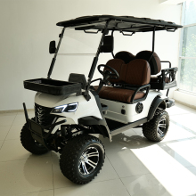 KDS 5KW Electric Golf Pull Cart - Manufacturer of Luxury Electric Golf Carts for Outdoors