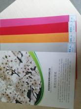 embossed color paper 95g