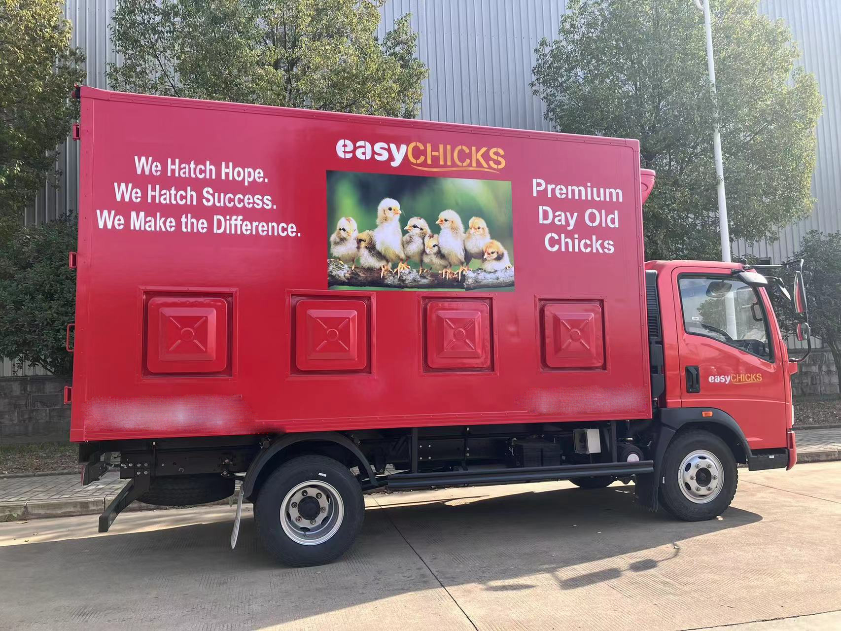 Carrier de pollitos (1) Baby Chick Carrier (1)