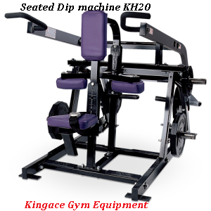 Plate Loaded Hammer Strength inner Thigh adductor Machine