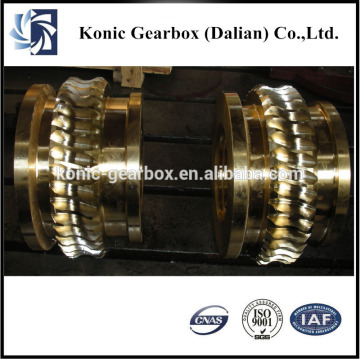 Industrical manufacturing customized hydraulic worm gear