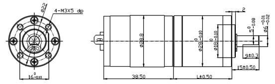 Gear Motor