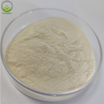 Bulk Whey Protein Concentrate WPC 80 Powder