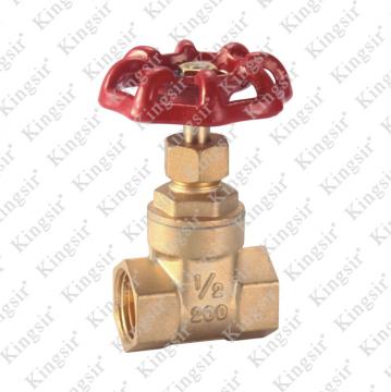 BRASS GATE VALVE
