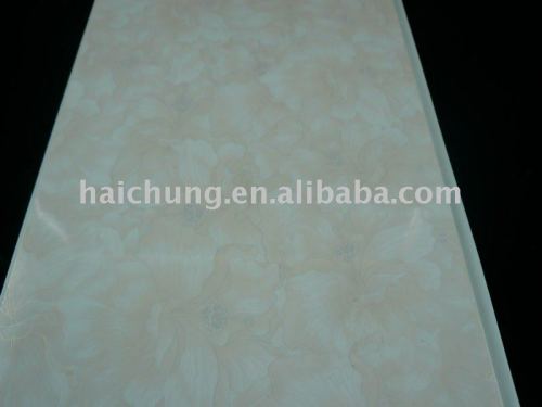 inside ceiling panels--elegant surface