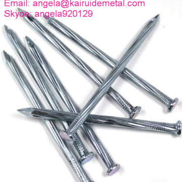 EG Stainless Skew Fluted Steel Nail