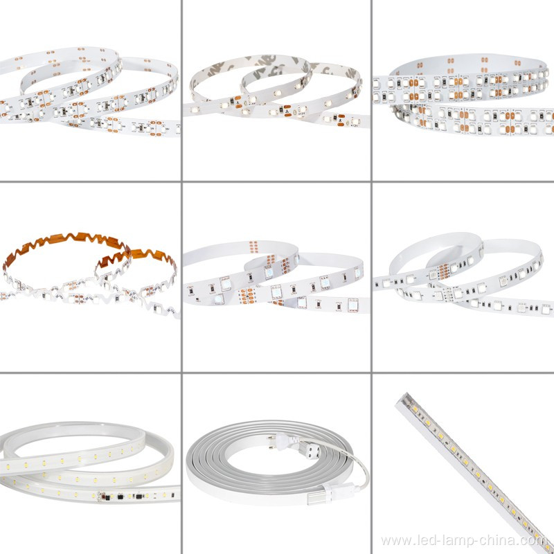 Waterproof Christmas Lamp Dc12v 24v 3014 led strip