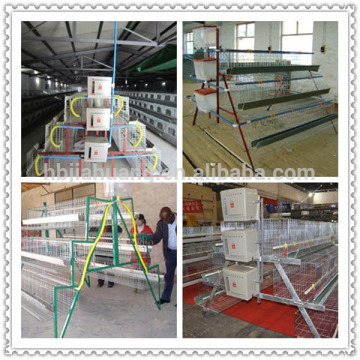 chicken cage for poultry farm for nigeria