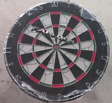 Flocked Dartboard