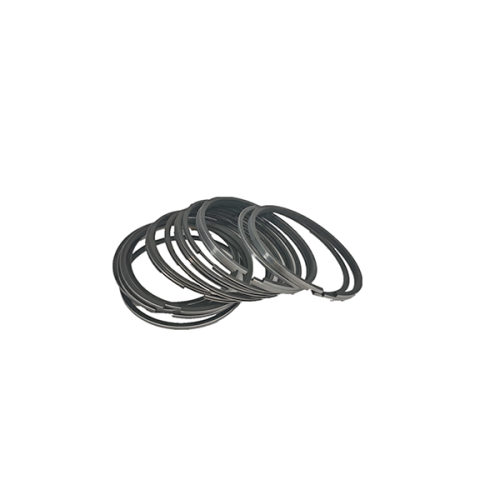 Piston ring D6114