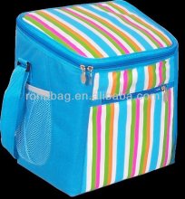 2013 faction cool bag