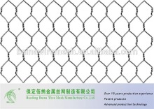 Electrical Galvanized Chicken Wire Mesh Architectural Mesh