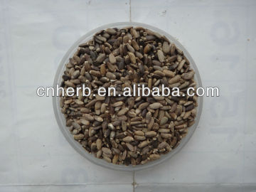 dried milk thistle seed