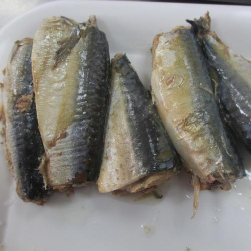 Canned Mackerel Fish in Vegetable Oil Flavor