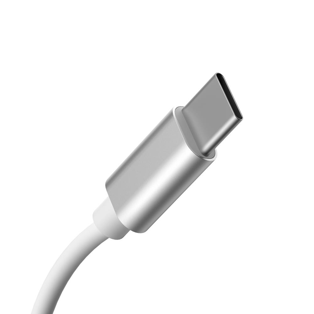 1.8m النوع C إلى Apple Magsafe Cable