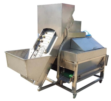 Auto Onion peeling machine