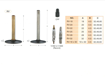 GT RV Bicycle Valves