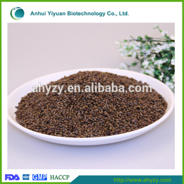 Chinese cassiae semen /Selected medicinal cassia seed (Juemingzi)