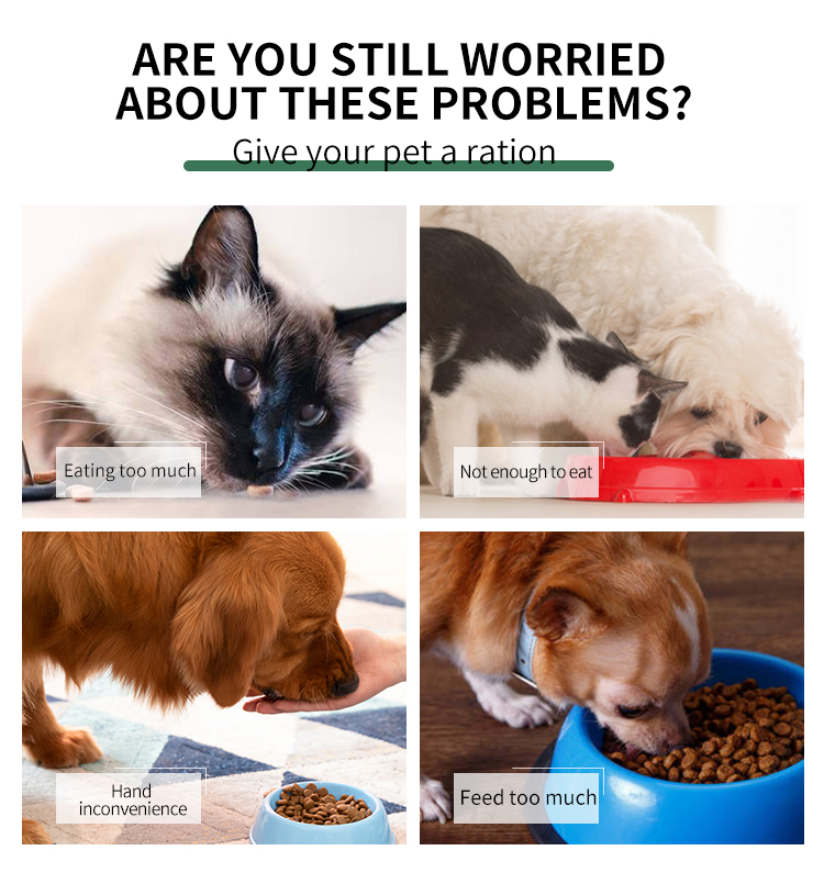 12 12