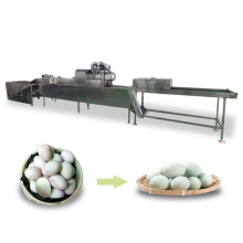 Egg Washing Machine: Small Egg Candling Machine - Mini Egg Washing Machine