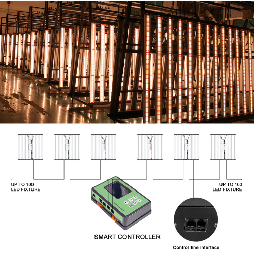 Lample di sostituzione della luce di coltivazione a LED Bulbi tradizionali