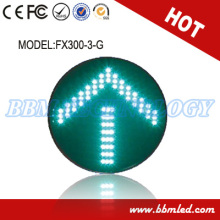 12 Inch Arrow LED Moudle at Parking