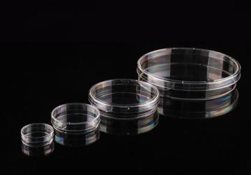 NEST Cell Culture Dish