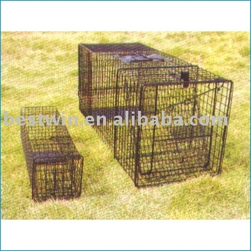 raccoons & squirrels trap