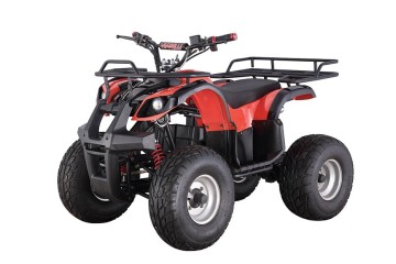 adult electric atv atv electric 48v 750W atv with CE (FA-ED801)