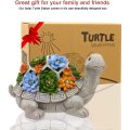 Solar Turtle Figurine with Succulent