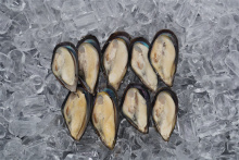 Frozen Seafood Mussel Half Shell