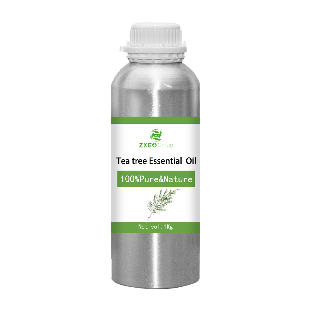 100% pure natural organic matter tea tree essential oil wholesale in bulk high qulity distill extractive tea tree essential oil