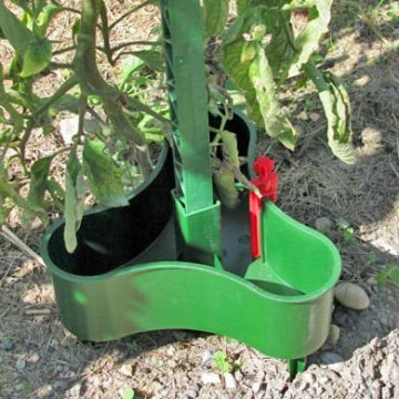 Tomato waterer