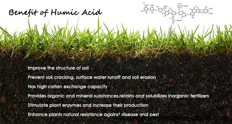 Humic Acid Organic Fertilizer that Is Beneficial to Plant Soil