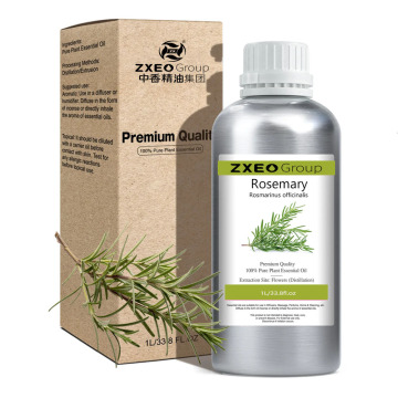Bulk sale pharmaceutical grade perfume rosemary oil extract from rosemary for hair growth