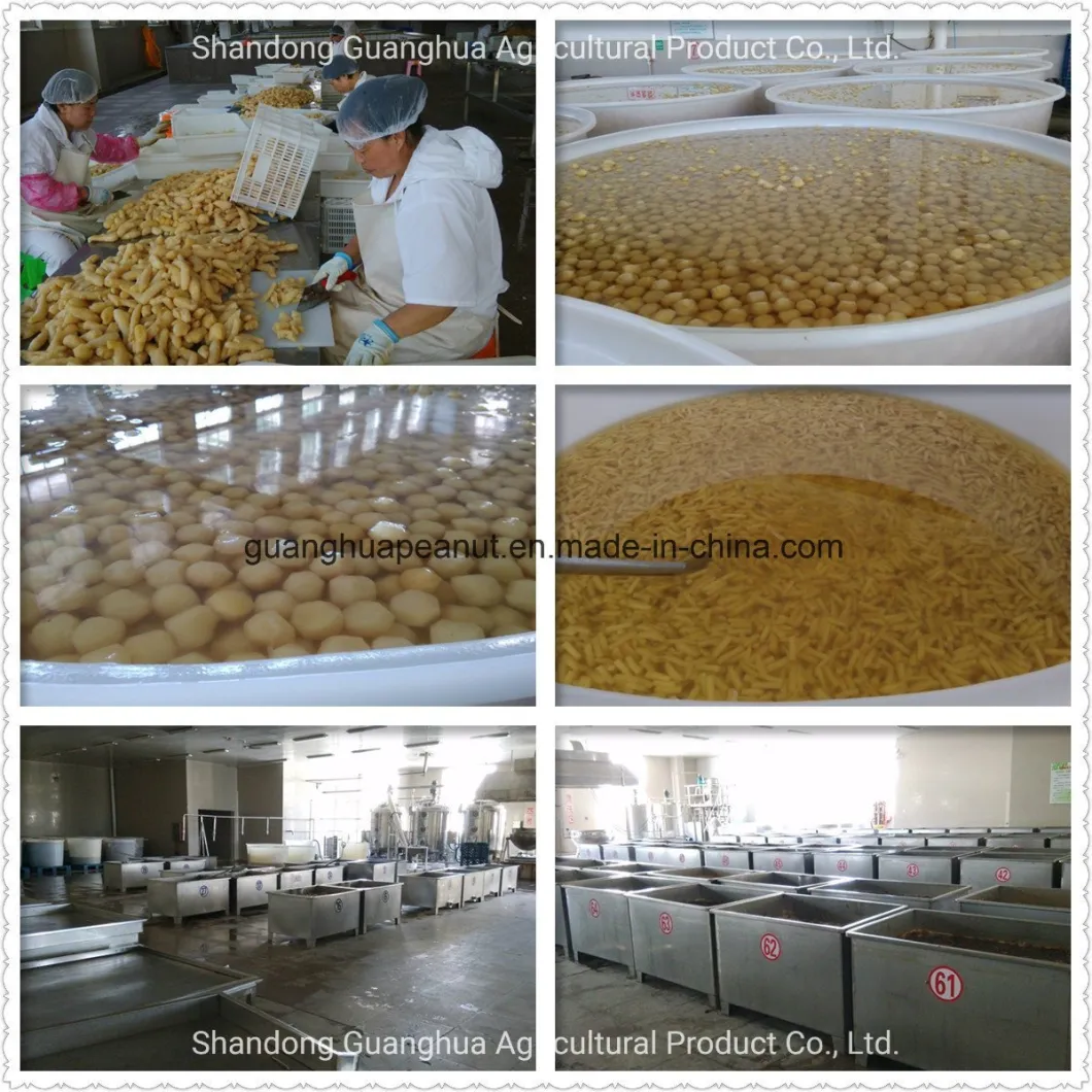 Good Quality Crystallized Ginger Slices Preserved Ginger Dried Ginger From China