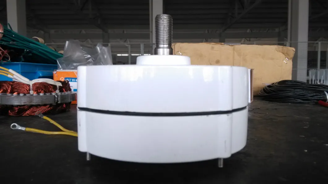 Wind Turbine Dedicated Permanent Magnet Generators with 100W