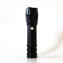 Lucky Tiger Small Head Lion LED Lantern