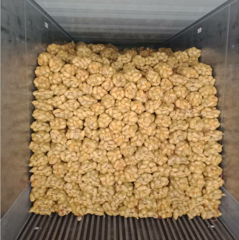 China fresh potato hot sale yellow potato export price