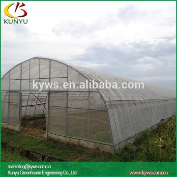 Arch roof type tunnel greenhouse greenhouse shelves poly greenhouse