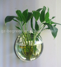 Hot Wall Mounted Hanging Acrylic Fish Tank Aquarium Bubble Fish Bowls Set/ Kit New