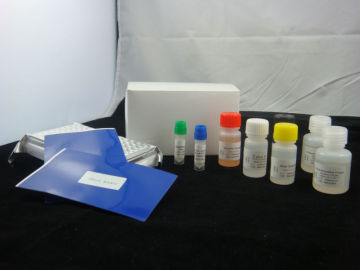 HBeAg Elisa Test