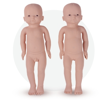 Newborn Physical Examination Model