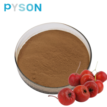 Hawthorn Berry extract powder 10% UV