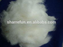 Super Selected Dehaired Angora Rabbit Hair 14.5mic 32mm