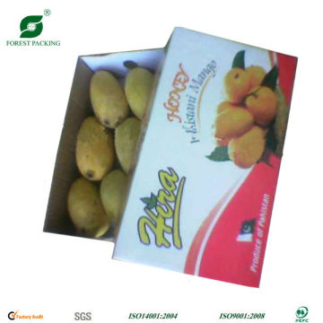 MELONS PACKAGING BOX FP101226