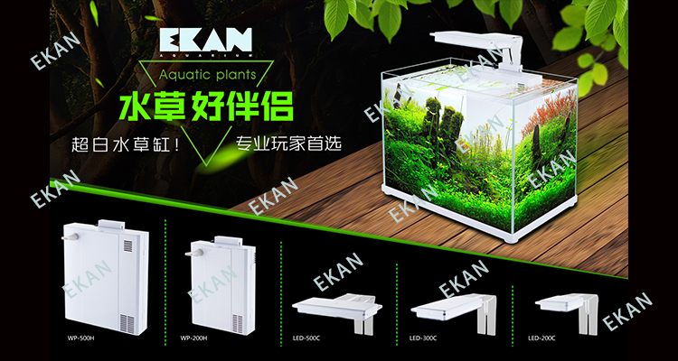 wholesale sobo unique small mini glass aquarium accessories fish tank