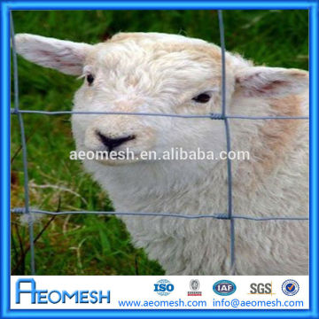 cattle fence/cheap cattle panels for sale/farm fence