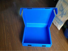 colorful pp hollow corrugated show box