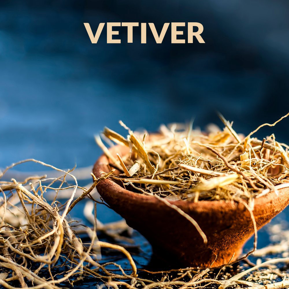 Aceite esencial de vetiver natural puro de alta calidad 100%